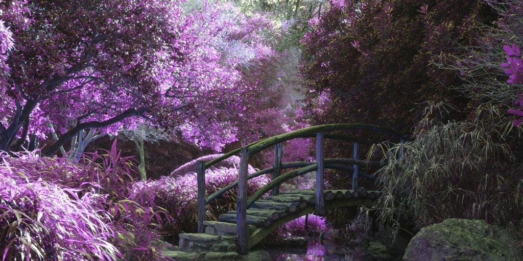 brown wooden footbridge surrounded by pink petaled flowers with creek underneath during daytime