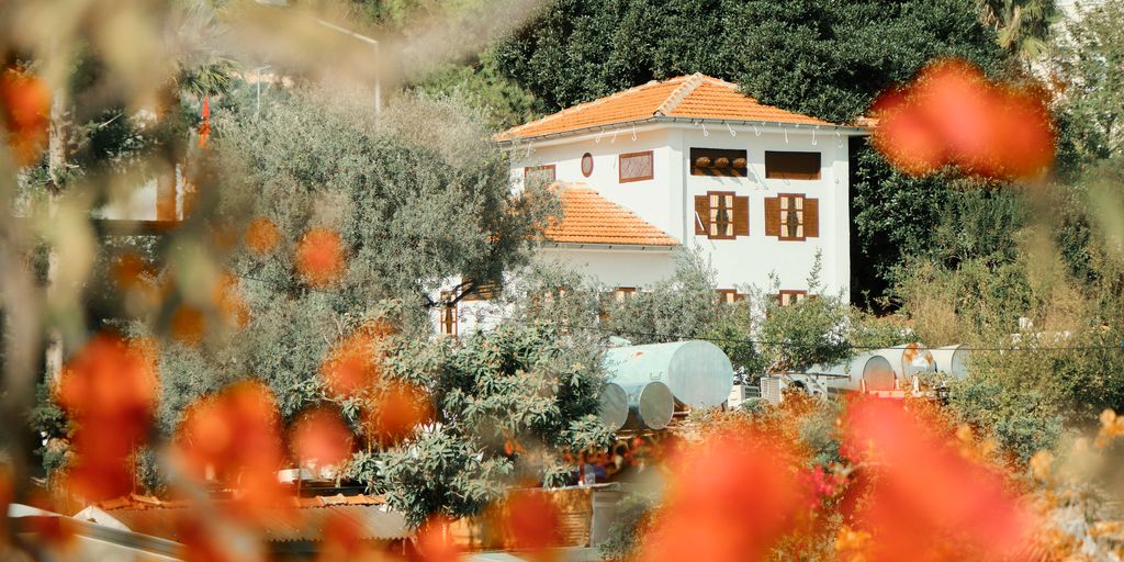 a house surrounded by trees